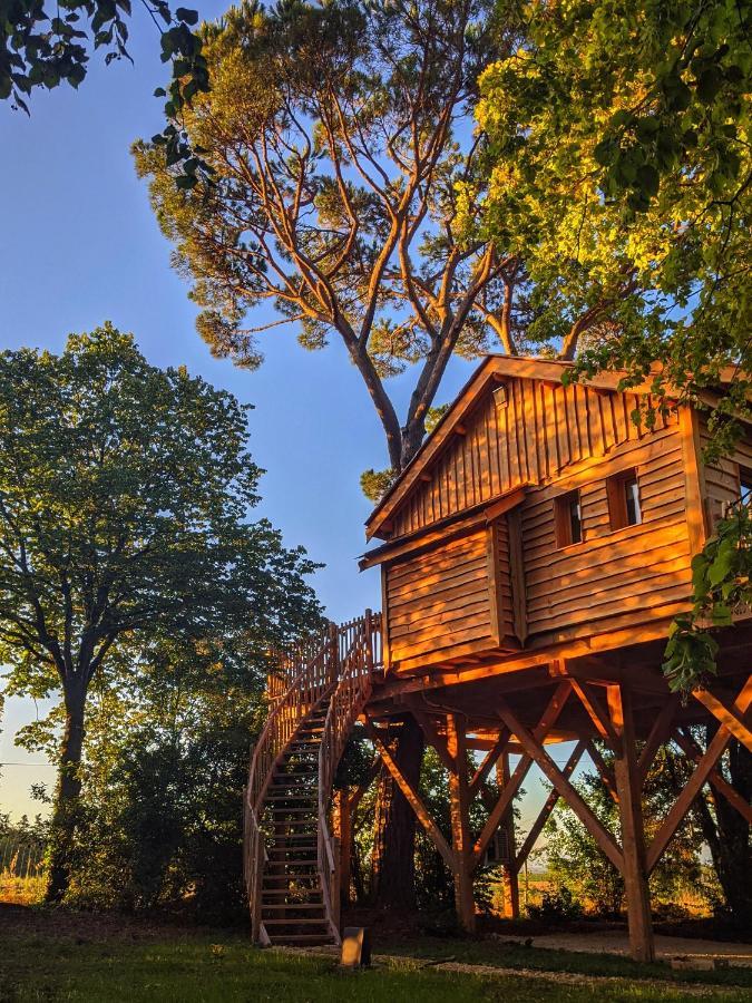 Chateau Des Fousseries Condom Exterior photo