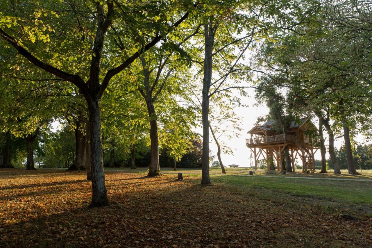 Chateau Des Fousseries Condom Exterior photo